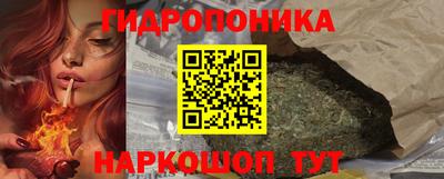дурь Можга