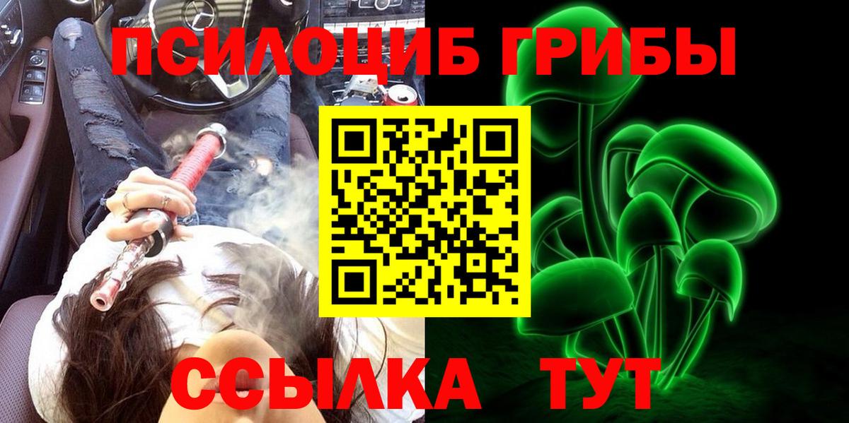 купить  цена  Псилоцибиновые грибы ЛСД  Вход с VPN  Галлюциногенные грибы ЛСД  Тимашёвск 