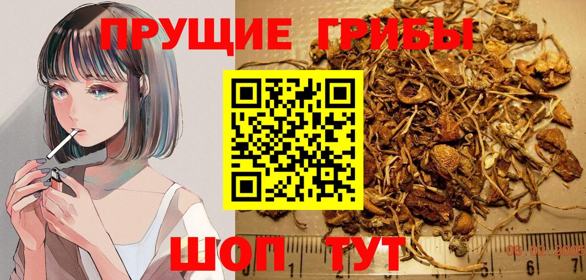 Псилоцибиновые грибы GOLDEN TEACHER Тимашёвск